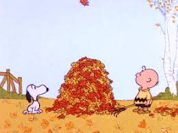 Happy thanksgiving gif red and howling. Happy Turkey Day ð•„ð•šð••ð••ð•ð•– ð•„ð•'ð•£ð•ª