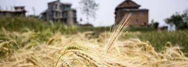 Obituaries Terrace Park Funeral Home Cemetery Kansas City Mo 64155