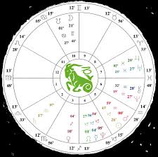 The Solar Return Forecast Mandala