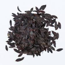 Image result for Lactuca ugandensis