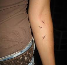 Birthmark On Leg Meaning In Hindi Pin On Animals