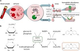 Image result for G6PD Deficiency Detection