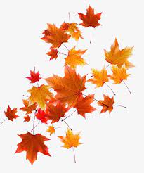 Autumn Leaves Fall Defoliation Autumn Png Transparent Clipart Image And Psd File For Free Download Autumn Leaves Black Wallpaper Iphone Dark Pictures Of Leaves