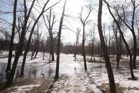 26 березня ми відзначаємо день національної гвардії україни, в той час як у в'єтнамі — день молоді, а у всьому світі карантин через коронавірус. Fxpn55iz4fmlm