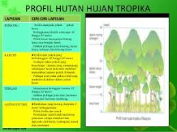 Pokok palma atau pokok arecaceae merupakan sejenis tumbuhan tropika yang banyak tumbuh di malaysia dan dijadikan tanaman industri terpenting negara ni (kelapa sawit dan kelapa) semenjak lama dulu. 10 Resort Hutan Hujan Tropika Khazanah Negara Wajib Pergi