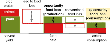 Math example on how to calculate food yield percent. The Opportunity Cost Of Animal Based Diets Exceeds All Food Losses Pnas