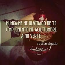Amor Ruptura Frases Desamor Narcos Quotes Cute Spanish Quotes Spanish Inspirational Quotes