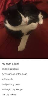 Pin On Here Have A Laugh