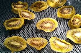 Rezept Fur Gedorrte Kiwischeiben Mit Dem Dorrgerat Getrocknete Kiwis Selber Machen Wir Zeigen Wie Es Am Besten Dorrautomat Rezepte Lebensmittel Selber Machen