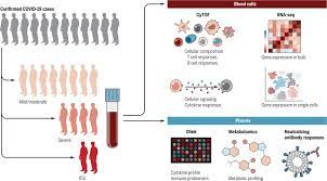 Animal cell immune system definition. The Science And Medicine Of Human Immunology Science
