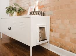 The size of the litter box makes it idea for households with more than one cat and the neutral colors means it can blend in easily in any room in. Here S A Shockingly Simple Way To Hide Your Cat S Litter Box Diy Cabinet That Hides Cat Litter Box