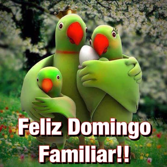 Resultado de imagen para feliz domingo familia