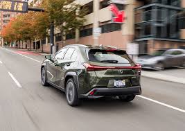 Image result for Nori Green 2025 LZ