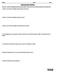 Cellular Organization Worksheet Super Healthy Recipes Worksheets Draw Diagram