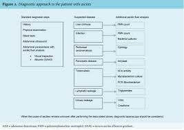 It is done to look at fluid that has built up in the space in the abdomen around the internal . Article The Diagnostic Work Up In Patients With Ascites Current Guidelines And Future Prospects Full Text October 2016 Njm