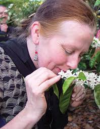 Do You Know Sherri Johns?