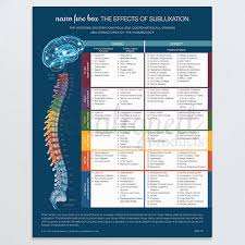 neuro fuse handouts