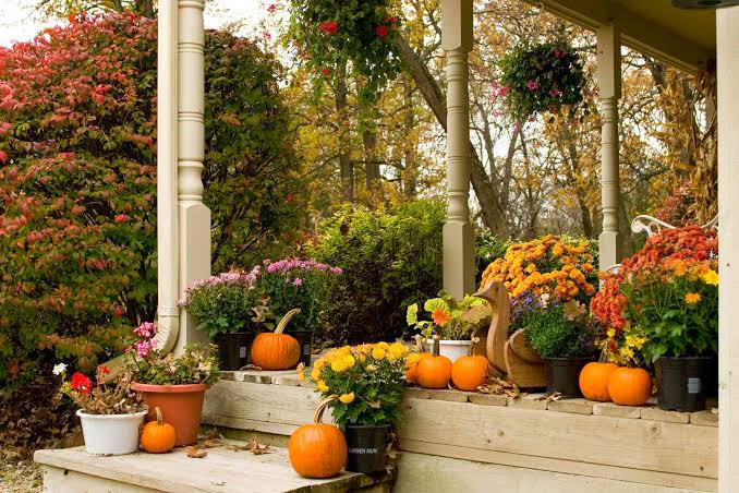 Seasonal Garden Styling Ideas: How to Decorate Your Garden Beautifully All Year Round in 2026