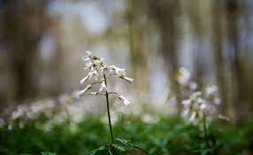 We did not find results for: 10 Signs Of Spring At Ontario Parks