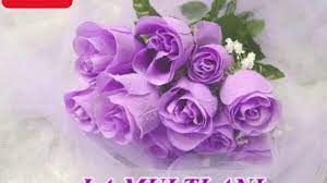 La multi ani, de florii! La Multi Ani Florin Salam Youtube