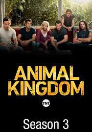 Kingdom is an anime adaptation of a manga series of the same title written and illustrated by yasuhisa hara. Vudu Animal Kingdom Season 3 Watch Movies Tv Online