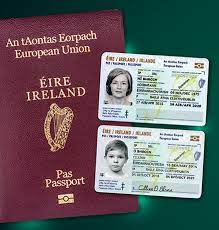 ▷ What's the difference between a passport book and a passport card? -  Apply for