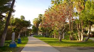 Image result for parque