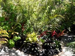 Pin On Subtropical Garden