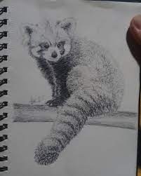Pin By Aaron Claytor On Art Panda Art Panda Sketch Panda Drawing