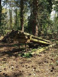 Piege A Tigres Jardin D Agronomie Tropicale Paris 12e Jardin Extraordinaire Jardins Paris