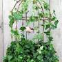 Profile Picture of audrey corby (audreycorby) - Profile - Pinterest (@pinterest.com) on Google