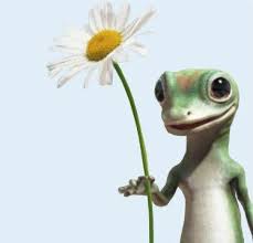 The Geico Gecko Animals Friends Gecko Animals