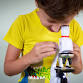 Science and Sensory Night