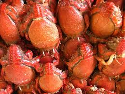 ตามอำเภอจาน สัปดาห์นี้พามาท่องเที่ยวเชิงสุขภาพ ณ หาดไม้ขาว อ.ถลาง จ. à¸› à¸ˆ à¸à¸ˆ à¸™ à¸ˆà¸­à¸¡à¹€à¸— à¸¢à¸™à¸—à¸°à¹€à¸¥à¹€à¸œà¸² à¸‹ à¸§ à¸§ à¹€à¸‚à¸²à¸ªà¸²à¸¡à¸¡ à¸‚ Facebook