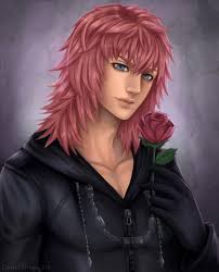 Marluxia is one of the main antagonistic characters in kingdom of hearts. Marluxia By Destatidreamxiii On Deviantart