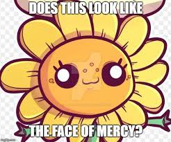 Does This Look Like The Face Of Mercy Memes Gifs Imgflip
