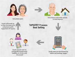 Measurements on the list inc. Health Tapestry Goal Setting Process Download Scientific Diagram