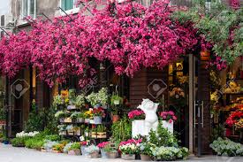 Flowers near me open today. Fresh Flowers Outside Of A Florist Shop Pink Flower Tree Stock Photo Picture And Royalty Free Image Image 107378007
