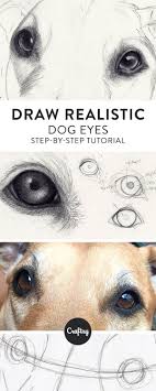 Drawing A Realistic Dog Starts With The Eyes Learn About The Structure Of A Dog S Eye And Get A Step Pencil Portrait Realistic Eye Drawing Realistic Drawings