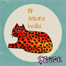Cocuklarin Ankarasindan Kedi Hikayeleri