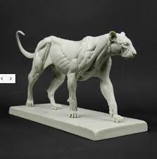 Artstation Red Panthera Pardus Ecorche 3dtotal Gael Kerchenbaum Feline Anatomy Cat Anatomy Animal Drawings