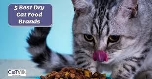 Maybe you would like to learn more about one of these? Top 5 Best Dry Cat Food In 2021 With Reviews