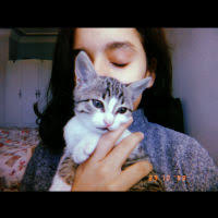Kedimin Disi Kirildi Petlebi Sosyal