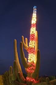 Christmas Saguaro Cactus Phoenix Arizona Travel Arizona By Multicityworldtravel Com For Hotels Flights Bookings Glo Navidad Arbol De Navidad Cactus