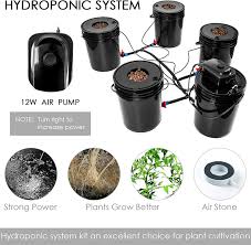 Buy Bavnnro Dwc Hydroponic System Multi Barrel Hydroponic Machine Drip Irrigation Hydroponic System 4 Bucket Reservoir Kit Online In Kazakhstan B08tc7zjwk