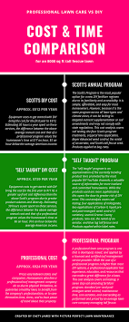 So how much does lawn treatment service cost? Diy Vs Professional Lawn Care Pplm 804 530 2540