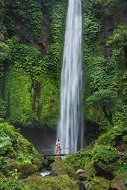 We did not find results for: Download Scenery Wallpaper Below The Waterfall Cellularnews