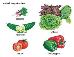 Lettuce Noun Definition Pictures Pronunciation And Usage Notes Oxford Advanced American Dictionary At Oxfordlearnersdictionaries Com