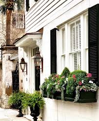 13 in to 24 in. 24 Window Box Flower Ideas What Flowers To Plant In Window Boxes Apartment Therapy