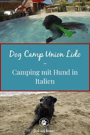 dog camp union lido camping mit hund in italien jack auf reisen union lido camping hundestrand campingplatz mit hund